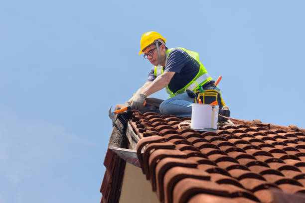 Best Chimney Flashing Repair  in Eldora, IA